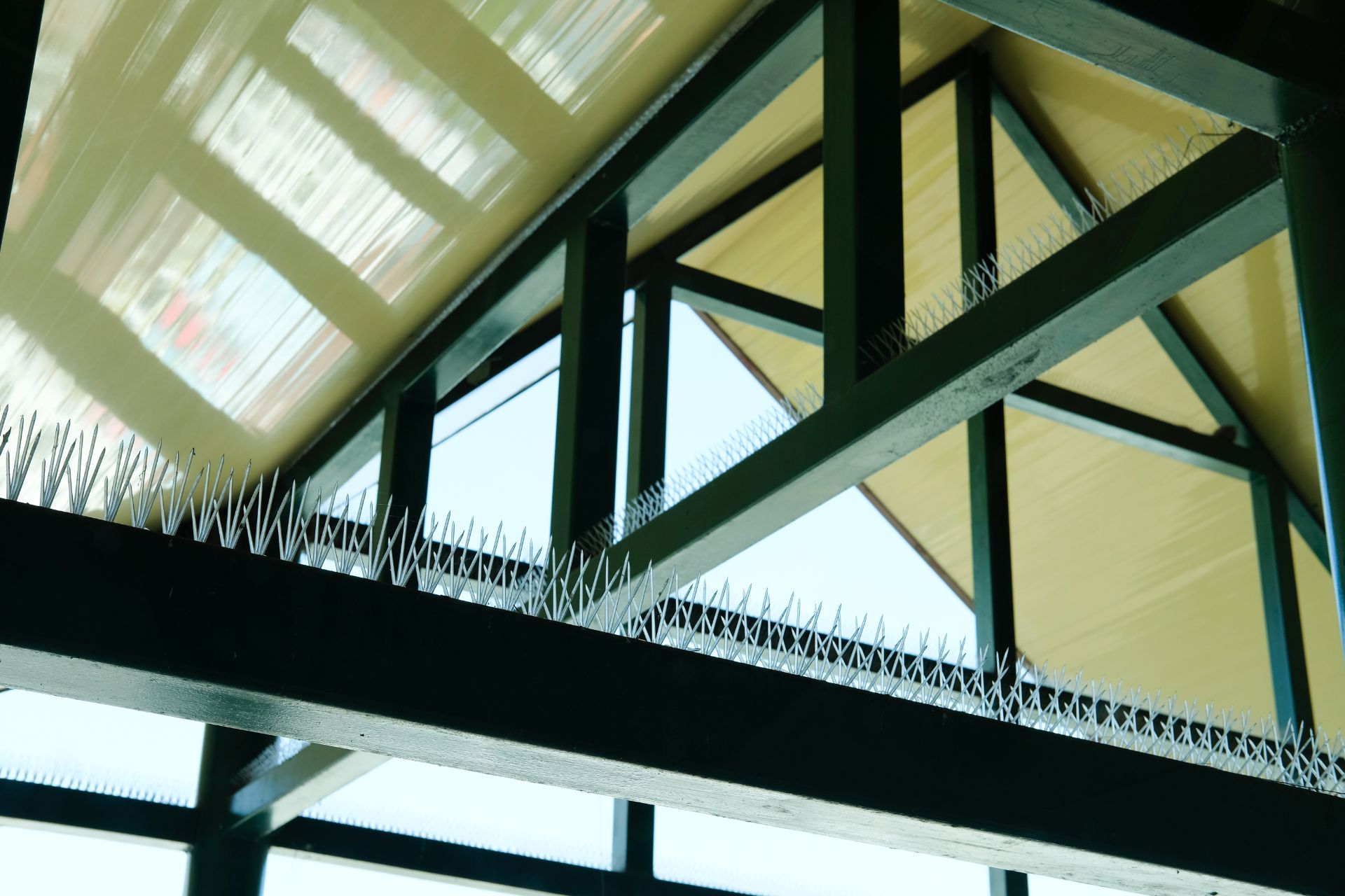 Bird Proofing Bird Proofing