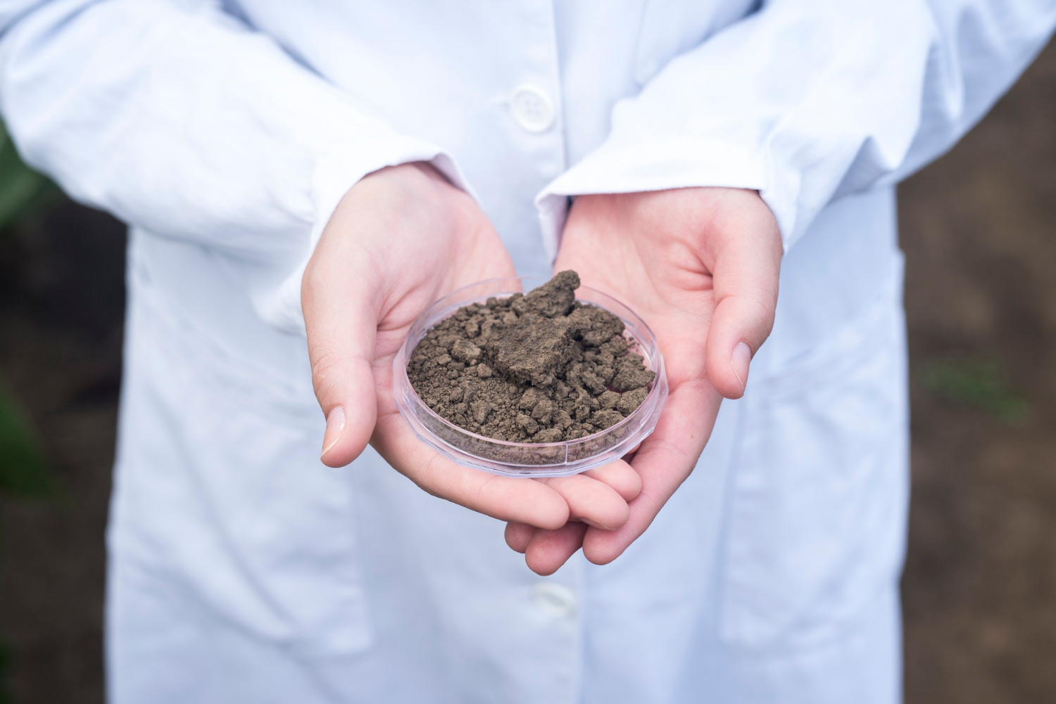 agronomist-hands-holding-soil-fertility-inspection